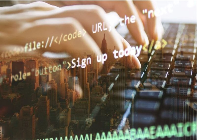 网站建设公司 网站建设公司